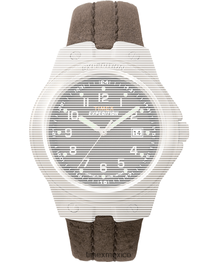 correas | Timex Correa de repuesto para campo de metal de expedición. unisexo P08BBP556 marrón