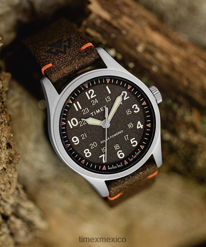 relojes | Timex Reloj Expedition North Field Solar de 36 mm con correa de cuero ecológico hombres P08BBP177 acero inoxidable/marrón/negro